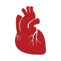Vektor Herz Organ isoliert Vektor Illustration