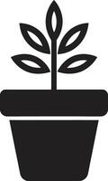 botanisch Schönheit emblematisch Pflanze Symbol immergrün Eleganz Logo Vektor Symbol
