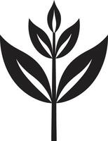 nachhaltig Pracht Pflanze ikonisch Emblem Öko Verzauberung Logo Vektor Symbol