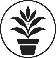 botanisk skönhet logotyp vektor ikon vintergröna elegans växt emblem design