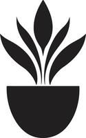 Öko Verzauberung ikonisch Pflanze Vektor botanisch Brillanz Pflanze Logo Design
