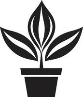 vintergröna elegans logotyp vektor ikon fotosyntetisk stolthet växt emblem design