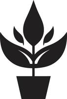 organisch Oase ikonisch Pflanze Vektor belaubt Erbe Pflanze Logo Design