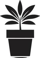 vintergröna elegans växt logotyp design fotosyntetisk stolthet symbolisk växt ikon vektor