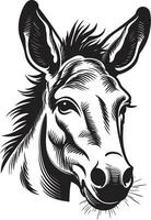 häst- emblem åsna logotyp design hovad hedra åsna ikoniska emblem vektor