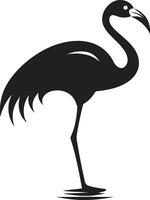 korall charm flamingo logotyp vektor illustration flamingo finess fågel emblem vektor design