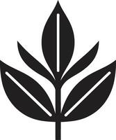 immergrün Eleganz Pflanze Logo Design Photosynthese Stolz emblematisch Pflanze Symbol vektor