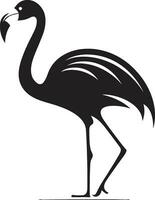 korall majestät flamingo emblem design ikon fuchsia befjädrad flamingo logotyp vektor konst