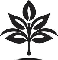 hållbar prakt växt logotyp design eco förtrollning symbolisk växt ikon vektor