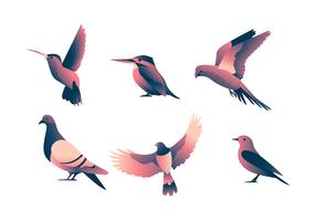 Fåglar Clipart Set vektor