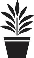 eco förtrollning växt logotyp design botaniska briljans symbolisk växt ikon vektor