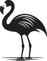 rodna skönhet flamingo emblem design korall kust flamingo logotyp vektor konst