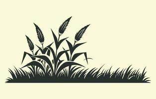 majs plantage. vektor illustration av ljuv majs groning i fält