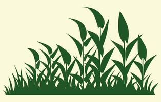 Mais Plantage. Vektor Illustration von Süss Mais sprießen im Feld