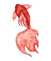 Aquarell Koi Fisch im rot Farbe.unter Wasser Welt mit Meer Tiere, Meeresfrüchte. Single Farbe, einfach, stilisiert Stil. Meer Leben.Hand gezeichnet isoliert Kunst. vektor