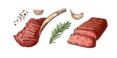 organisch Lebensmittel. Hand gezeichnet farbig Vektor skizzieren von gegrillt Rindfleisch Steak, Stück von Fleisch auf das Knochen mit Rosmarin und Knoblauch. Dekorationen zum Speisekarte. graviert Bild.