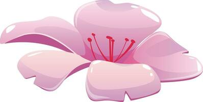 Single japanisch Kirsche Blume, Sakura, Rosa Blume, Sakura Blume, Frühling Baum Blumen, vektor