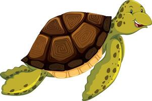 sköldpadda marin djur- tecknad serie färgad vektor