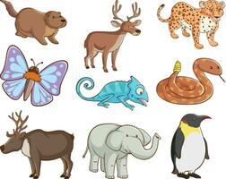 Hand gezeichnet süß Tiere Sammlung,groß einstellen von Tierwelt mit viele Typen von Tiere und Insekten vektor