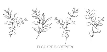 Eukalyptus Linie Zeichnung. schwarz und Weiß Blumen- Blumensträuße. Blume Färbung Buchseite. Blumen- Linie Kunst. fein Linie Eukalyptus Illustration. Hand gezeichnet Grün. botanisch Färbung. Hochzeit Einladung Grün vektor