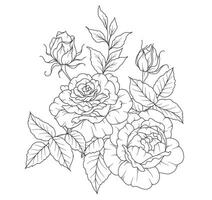 reste sig linje teckning. svart och vit blommig buketter. blomma färg sida. blommig linje konst. bra linje reste sig blomma illustration. hand dragen blommor. botanisk färg. bröllop inbjudan blommor vektor