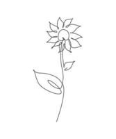 einzelne durchgehende linie, die minimalistische schönheit frische sonnenblume zeichnet. Blumenkonzept für Poster, Wandkunst, Tragetasche, Handyhülle, T-Shirt-Druck. trendige einlinie zeichnen design vektorgrafik illustration vektor