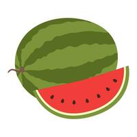 Wassermelone Obst und Wassermelone Scheibe mit Samen. frisch und saftig Beere. Vektor eben Illustration isoliert auf Weiß Hintergrund