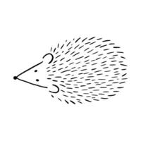 Karikatur Gekritzel süß Igel - - isoliert Vektor Illustration. handgemalt bezaubernd Igel auf seine zurück. stachelig Säugetier. Wald Tiere. Vektor Illustration zum Kinder.