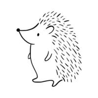 Karikatur Gekritzel süß Igel - - isoliert Vektor Illustration. handgemalt bezaubernd Igel auf seine zurück. stachelig Säugetier. Wald Tiere. Vektor Illustration zum Kinder.