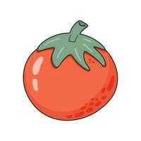 Tomate handgemalt Illustration. rot texturiert Tomate mit ein Grün Stengel. Vektor Gekritzel Stil Karikatur Illustration. Konzept von gesund Essen, vegan Produkte zum Rezept Buch, Banner, Dekoration