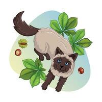 tecknad serie platt konceptuell illustration av siamese katt vektor