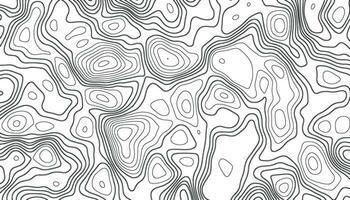 bakgrund av de topografisk Karta. elevation konturering översikt kartografi textur. geografisk abstrakt rutnät. trogen trådmodell landskap bakgrund. svart och vit sömlös mönster vektor