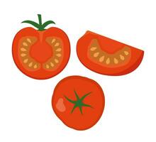 halv en tomat, en skiva och en hela tomat. färsk röd tomater. grönsaker. vektor illustration.