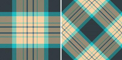 Muster Textil- Textur von Tartan Stoff Hintergrund mit ein Plaid Vektor nahtlos überprüfen.