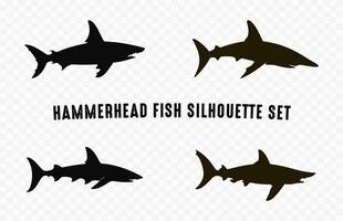 hammarhaj haj svart silhuett uppsättning, hammarhaj hajar silhuetter vektor