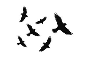 en flock flygande fåglar svart silhuett vektor