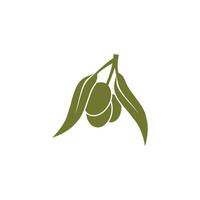 Olive Logo Vektor Vorlage Symbol Element Natur