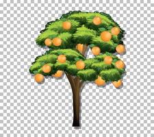 Orangenbaum auf Gitterhintergrund vektor