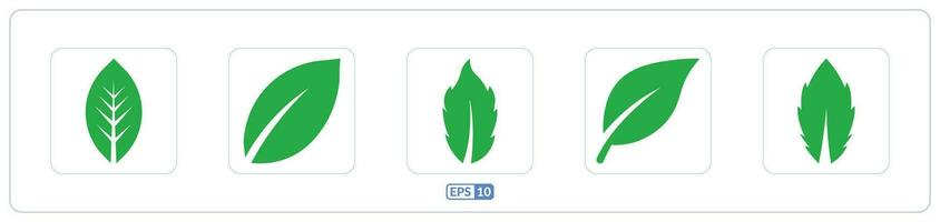 ekologi grön blad Färg platt ikon vektor