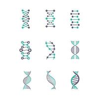 DNA-Doppelhelix Violett und Türkis Farbsymbole gesetzt