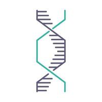 Sechseckiges DNA-Helix-Symbol in Violett und Türkis vektor