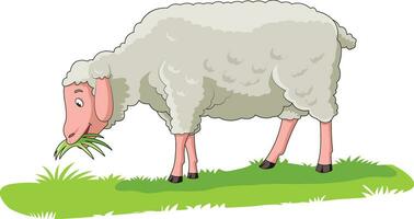 süß Schaf Essen Gras im ein Feld vektor
