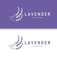 Lavendel Logo elegant lila Blume Pflanze Illustration Blumen- Ornament Design vektor