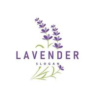 Lavendel Logo elegant lila Blume Pflanze Illustration Blumen- Ornament Design vektor