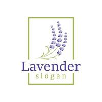 lavendel- logotyp elegant lila blomma växt illustration blommig prydnad design vektor