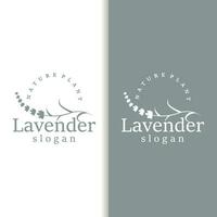 Lavendel Logo elegant lila Blume Pflanze Illustration Blumen- Ornament Design vektor