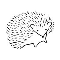 Karikatur Gekritzel süß Igel - - isoliert Vektor Illustration. handgemalt bezaubernd Igel auf seine zurück. stachelig Säugetier. Wald Tiere. Vektor Illustration zum Kinder.