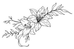 Wildblumen Linie Zeichnung. schwarz und Weiß Blumen- Blumensträuße. Blume Färbung Buchseite. Blumen- Linie Kunst. fein Linie Wildblumen Illustration. Hand gezeichnet Blumen. botanisch Färbung. Hochzeit Einladung Blumen vektor