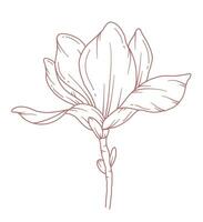 Magnolie Linie Zeichnung. schwarz und Weiß Blumen- Blumensträuße. Blume Färbung Buchseite. Blumen- Linie Kunst. fein Linie Magnolie Illustration. Hand gezeichnet Blumen. botanisch Färbung. Hochzeit Einladung Blumen vektor