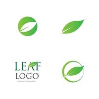 grünes Blatt Logo vektor
